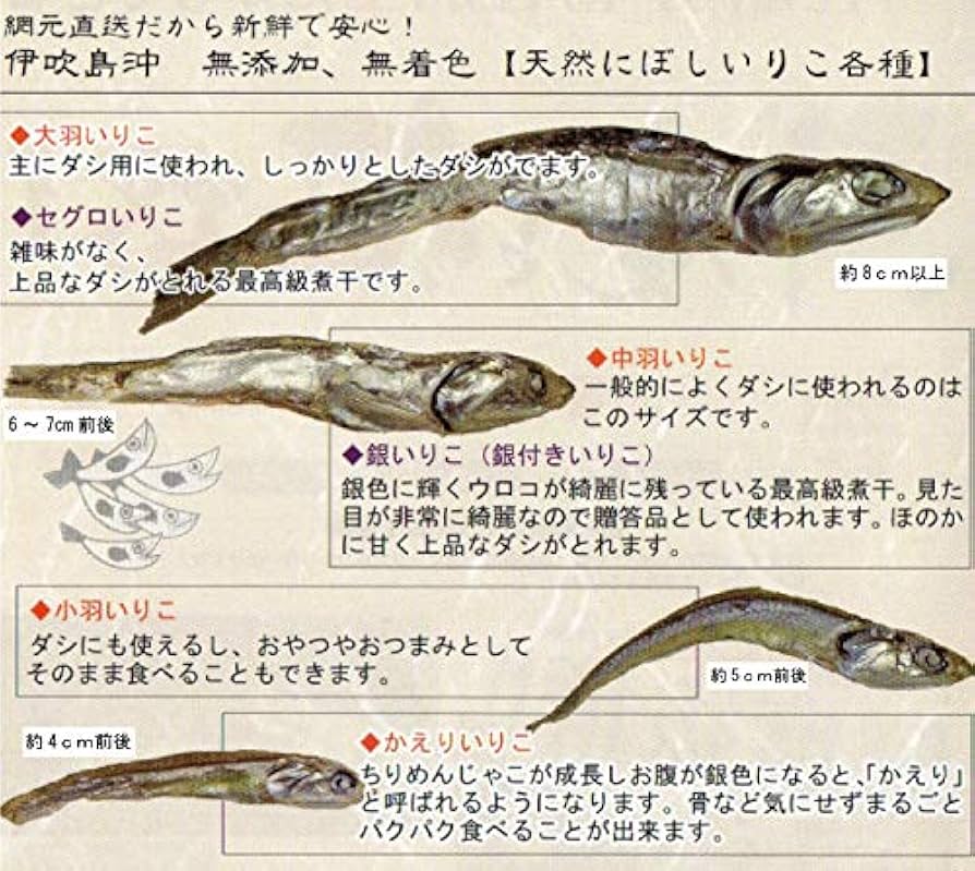 1.8kg 食品・飲料・酒 【おきのり様専用】山梨県産Saの粒 箱